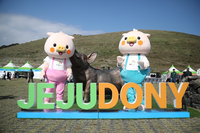 2025제주도새기축제  대표 이미지