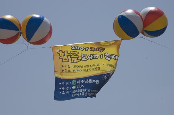 2007년 제주 황금 도새기 축제 대표 이미지