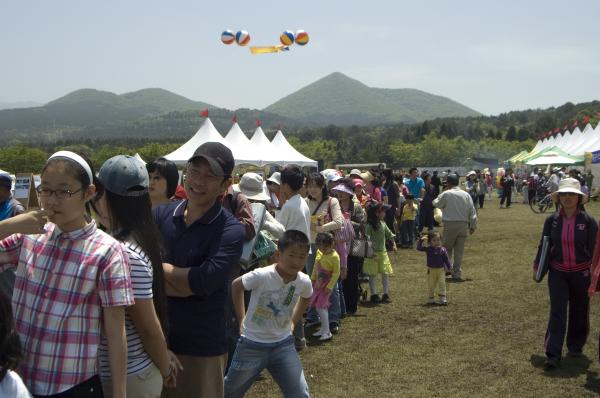 2007년 제주 황금 도새기 축제 대표 이미지