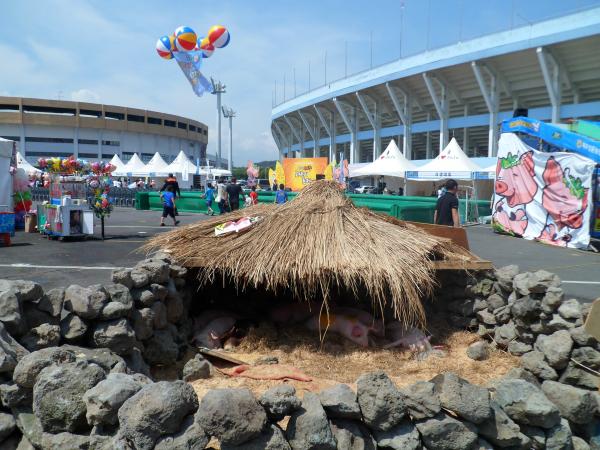 2012년 제주 도새기축제 대표 이미지