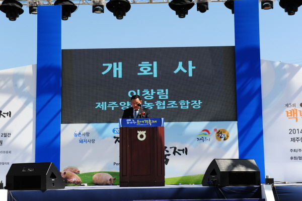 2014 제주도새기축제 대표 이미지