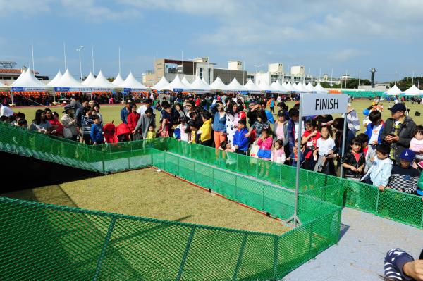 2014 제주도새기축제 대표 이미지