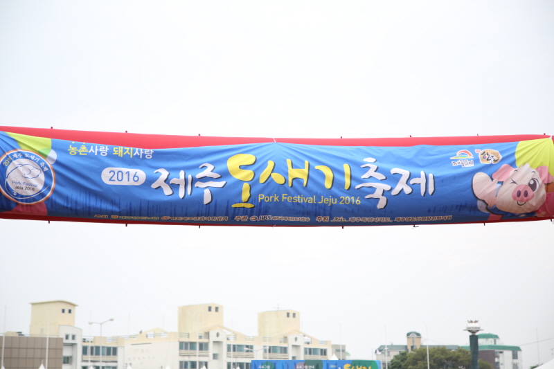 2016 제주도새기축제 대표 이미지