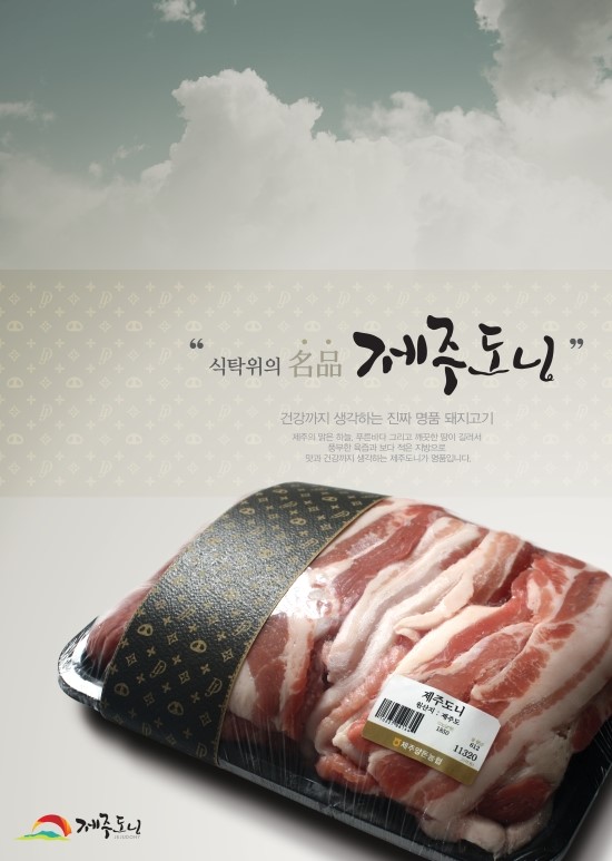 제 2회 제주도니 광고 공모전 입선 수상작품 대표 이미지