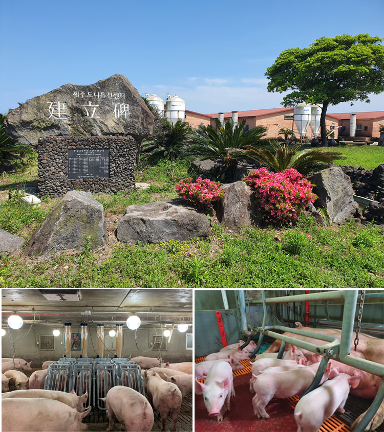 제주도니 유전센터