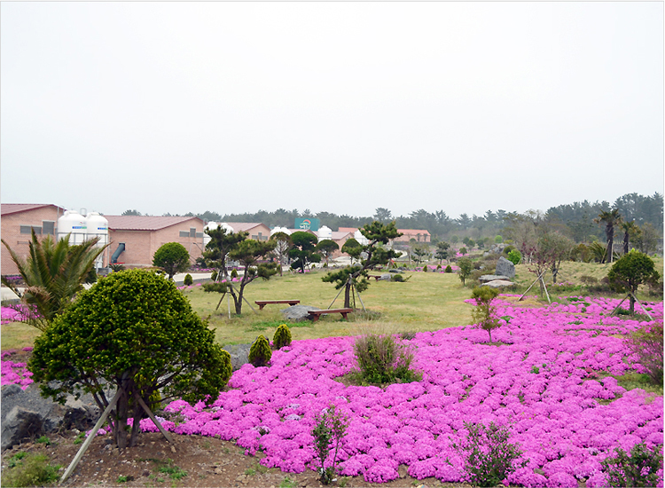 제주도니 유전센터 