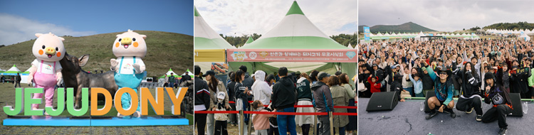 2025 제주도새기축제